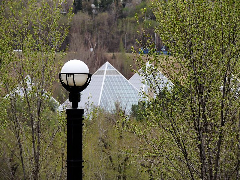 asphalt paving Edmonton